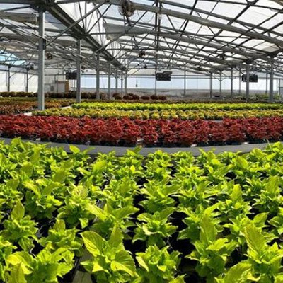 Cold Storage For Plantation And Horticulture Produce