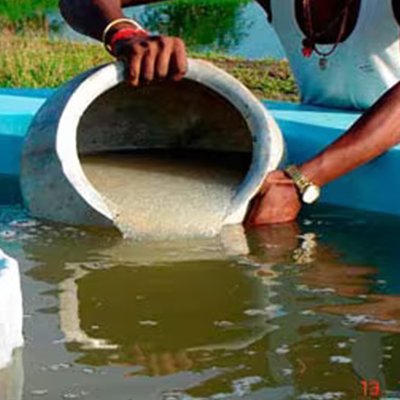 Eco-hatchery – For Carp Seed Production