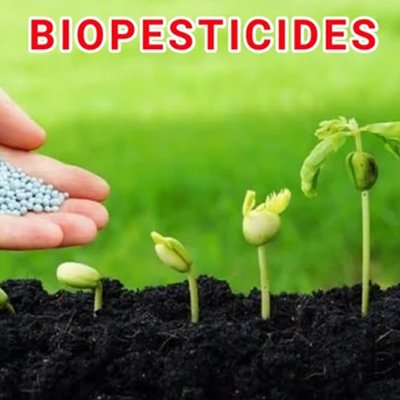 Establishment Of Bio Pesticide Units